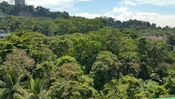 southaven-i photo thumbnail #3